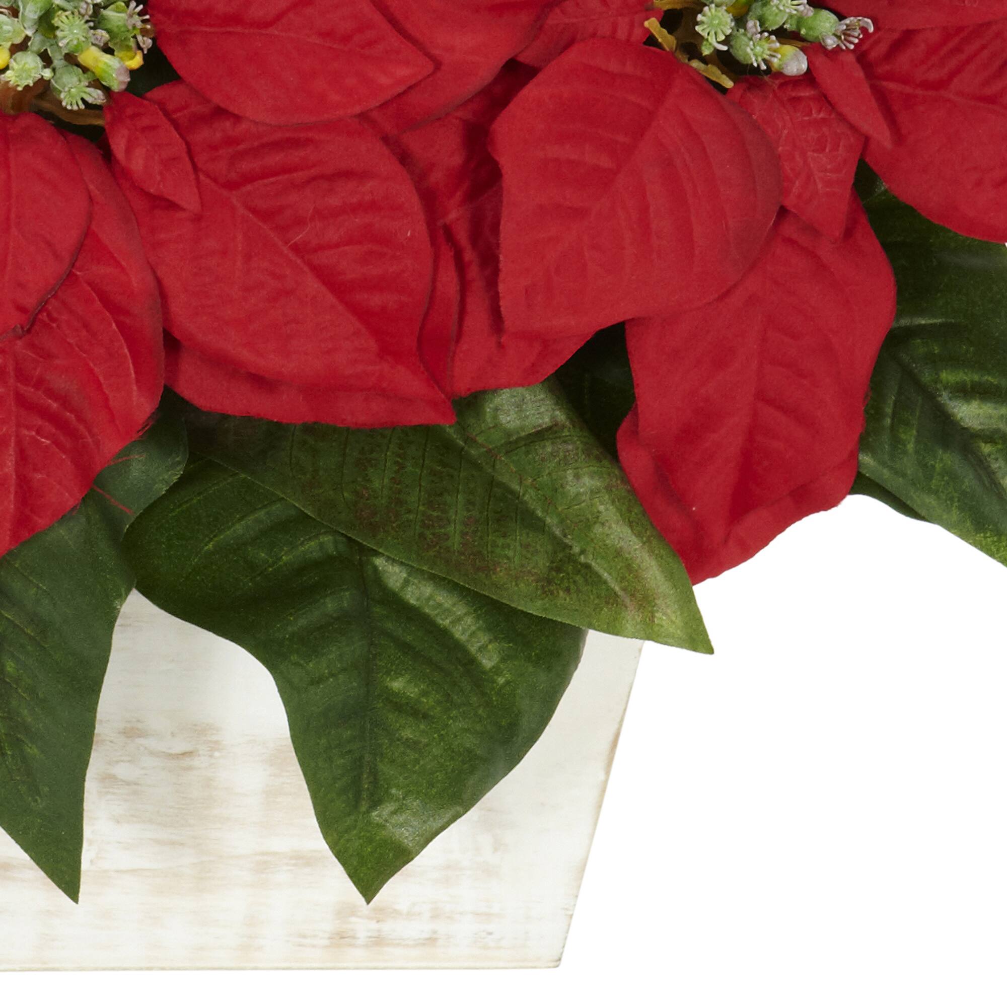 16.5" Potted Poinsettia in White Washed Planter